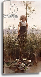 Постер Каффиери Гектор The Water Lilies