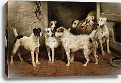 Постер Эммс Джон Терьеры у дверей конюшни, ‘Дальний родственник’