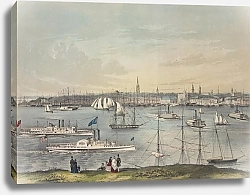 Постер Паомер Фанни View of New York, from Brooklyn Heights