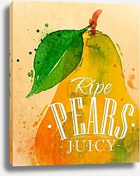 Постер Спелая груша
