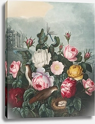 Постер Торнтон Роберт Розы