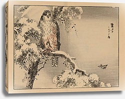 Постер Байрей Коно Байрей гафу, пл. 24