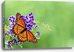 Постер Оранжевая бабочка на фиолетовом цветке на зеленом фоне
