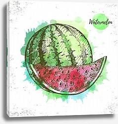 Постер Акварельный арбузный эскиз