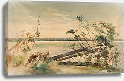 Постер Фалат Джулиан Świteź