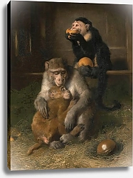 Постер Лэндсир Эдвин Визит Врача К Бедным Родственникам В Зоологическом Саду