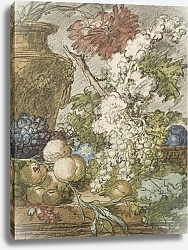 Постер Хейсум Ян Sketch for a Still Life of Fruit and Flowers