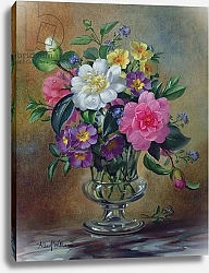 Постер Уильямс Альберт (совр) AB/217 Forget-me-nots and primulas in glass vase