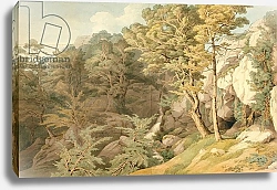 Постер Эббот Джон Canonteign, Devon, 1804