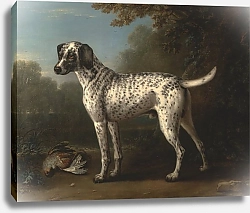 Постер Уоттон Джон Серая пятнистая гончая