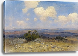 Постер Ондердонк Юлиан Солнечный свет и тень