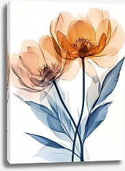 Постер Looking into the mysteries of the peony