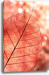Постер Осенний розовый листок