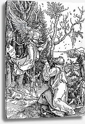Постер Дюрер Альбрехт Joachim and the Angel from the 'Life of the Virgin' series, pub. 1511