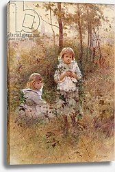 Постер Каффиери Гектор In the Woods 2