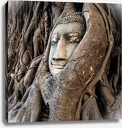 Постер Голова Будды в корнях дерева, Аюттхая, Таиланд 2