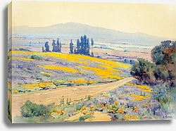 Постер Вахтель Элмер Калифорнийский весенний пейзаж