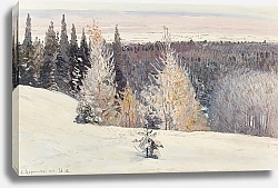 Постер Борисов Александр Зима