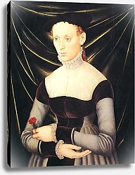 Постер Кранах Лукас Старший Woman with a Carnation