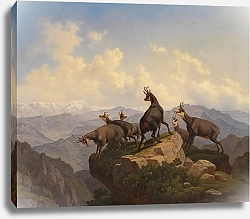 Постер Хохе Фридрих Драгоценные камни в карвенделе