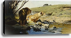 Постер Кунер Вильгельм A Lion and Lioness at a Stream,