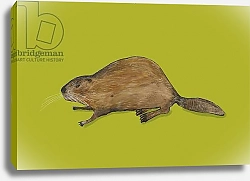 Постер Томпсон-Энгельс Сара (совр) Beaver 1