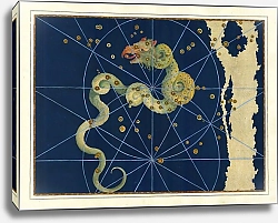 Постер Байер Иоганн Draco