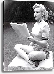 Постер Monroe, Marilyn 97