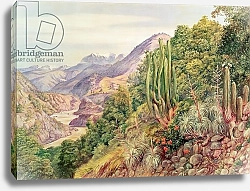 Постер Неизвестен The Streams of Languenas in the Cordellera, Chile
