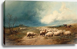 Постер Купер Томас Сидни Ворсистый заряд