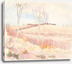 Постер Хансен Питер Весенний пейзаж Фунена