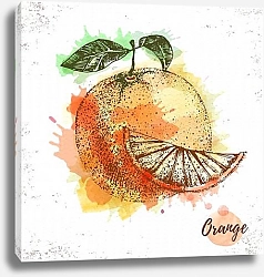 Постер Акварельный апельсиновый эскиз