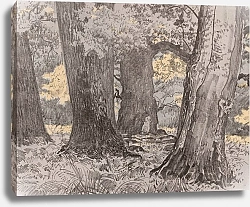 Постер Чолковский Леон Oaks