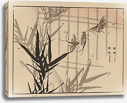 Постер Байрей Коно Байрей гафу, пл. 68