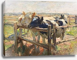 Постер Зюгеь Генрих Черная и желтая галка на молодом пастбище