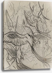 Постер Тома Ханс Wonderful birds