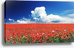 Постер Цветущий океан