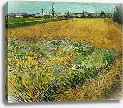 Постер Ван Гог Винсент (Vincent Van Gogh) Пшеничное поле 1