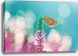 Постер Оранжевая пятнистая бабочка на розовом цветке в цветущем поле