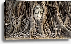 Постер Голова Будды в корнях дерева, Аюттхая, Таиланд