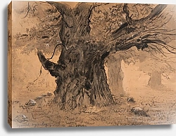 Постер Чолковский Леон Rogalin Oaks