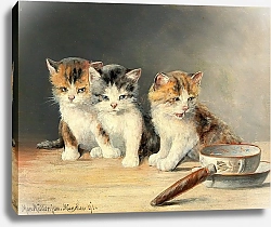 Постер Мюллер Моритц Три котенка