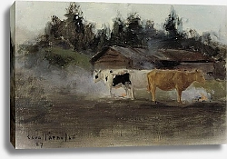 Постер Ярнефельт Ээро Коровы в дерновом дыму, изучают