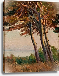 Постер Чолковский Леон Pines at Połąga