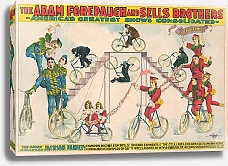 Постер Курьер Лито Ко. The Adam Forepaugh & Sells Brothers объединили свои лучшие шоу в Америке. Великая европейская семья Джексонов…