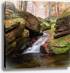 Постер Чехия, водопад