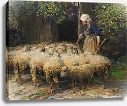 Постер Зюгеь Генрих Женщина-пастух со стадом овец на конюшне