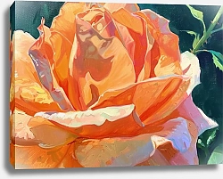 Постер Golden hour rose