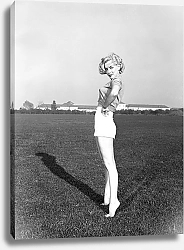 Постер Monroe, Marilyn 15