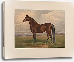 Постер Сталл Генри Доброволец; Величайший из ныне живущих производителей рысей